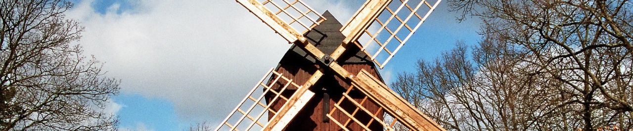 Bockwindmühle Winsen (Aller) Spitze einer Windmühle mit Flügeln, umgeben von kahlen Bäumen gegen blauen Himmel.